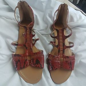 Leather Snake Rust & Black Gladiator